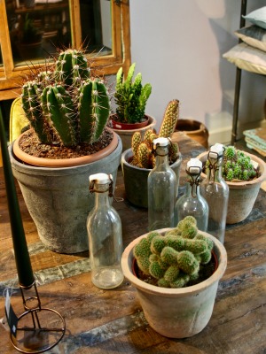 Woonwinkel Breda Moss